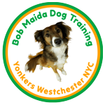 Bob Maida Dog Training